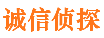 昌江县市私家侦探